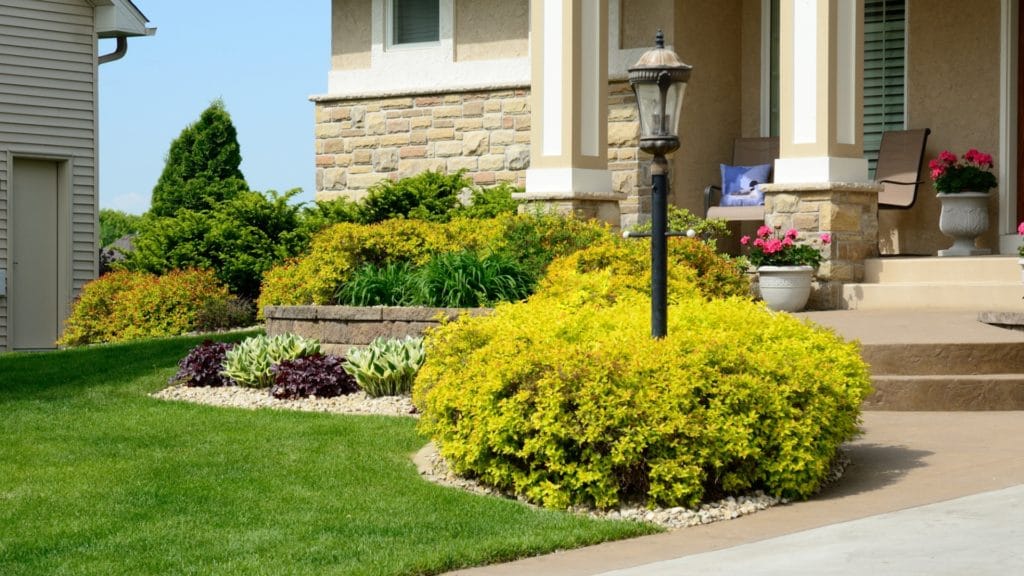 A beautiful garden with lots of flowers and bushes.