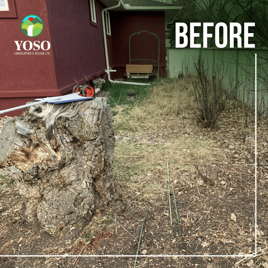 A tree stump that has been knocked over.