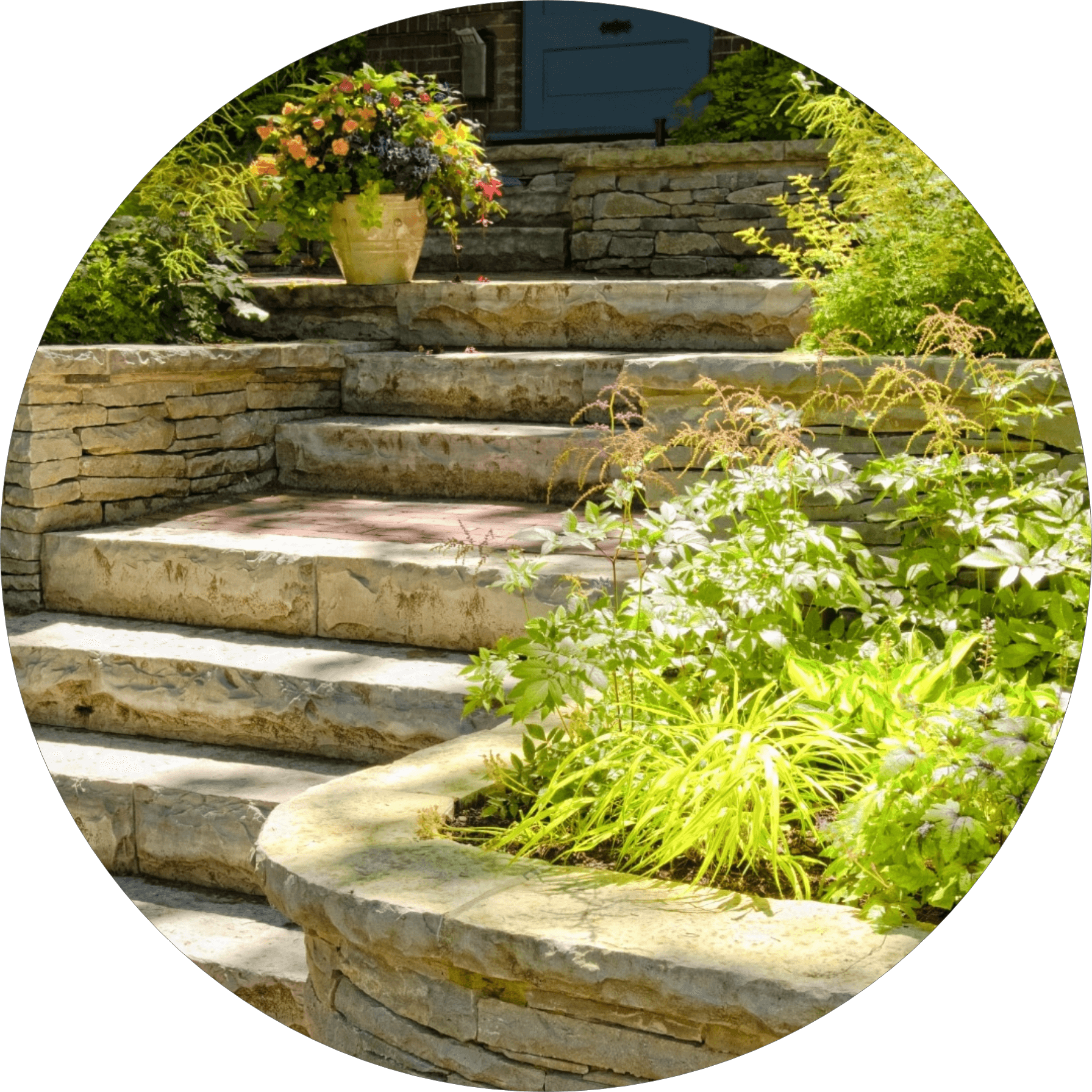 A garden with steps and plants in the middle of it