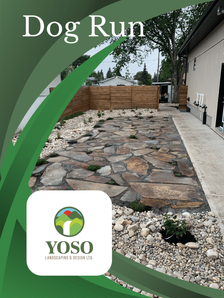 A yard with rocks and grass in it