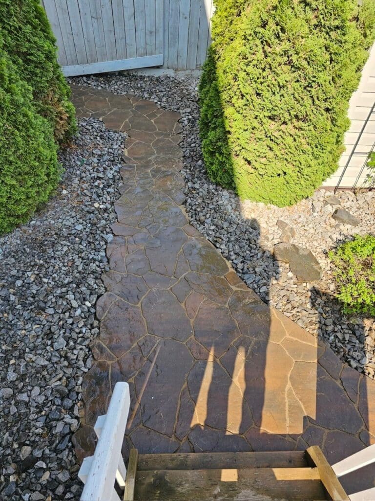 A person is walking on the path in front of bushes.