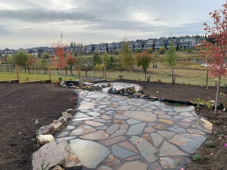 A stone path in the middle of a field.