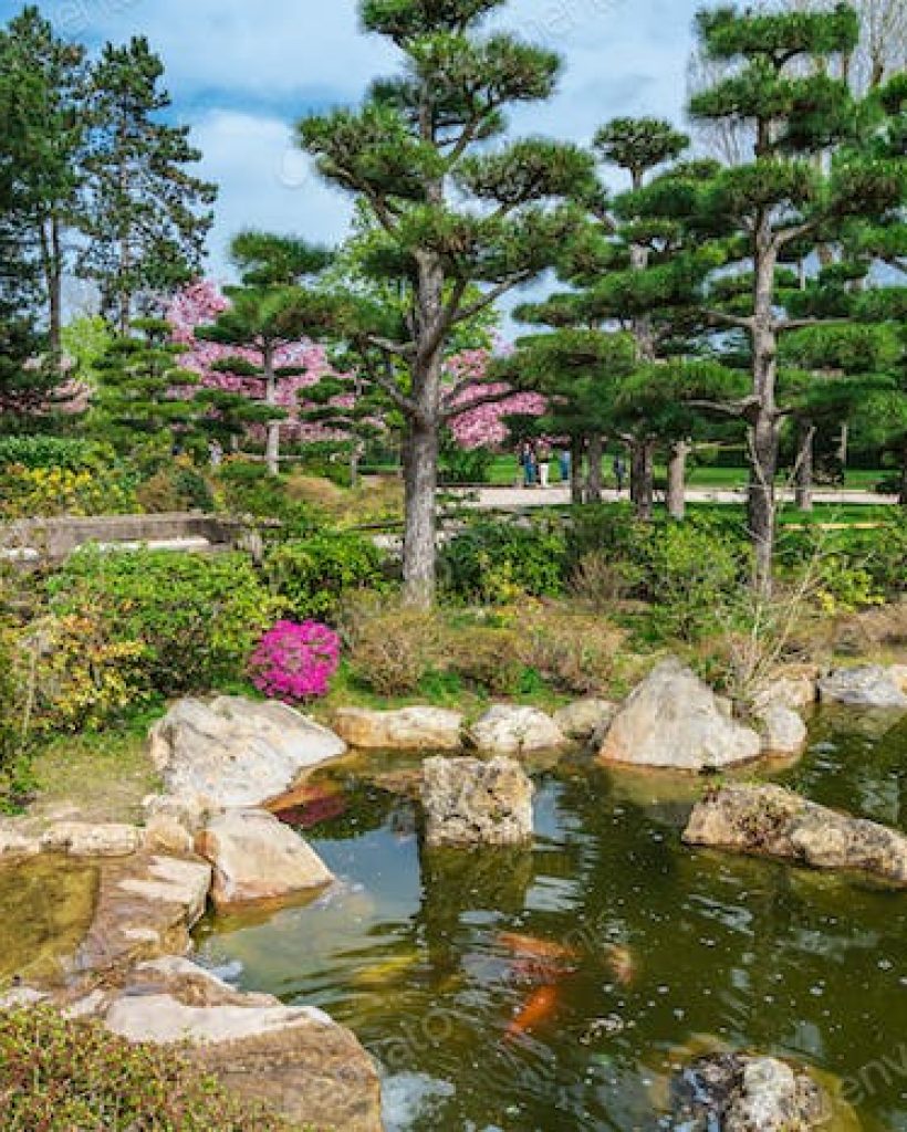 A pond with many different types of trees.