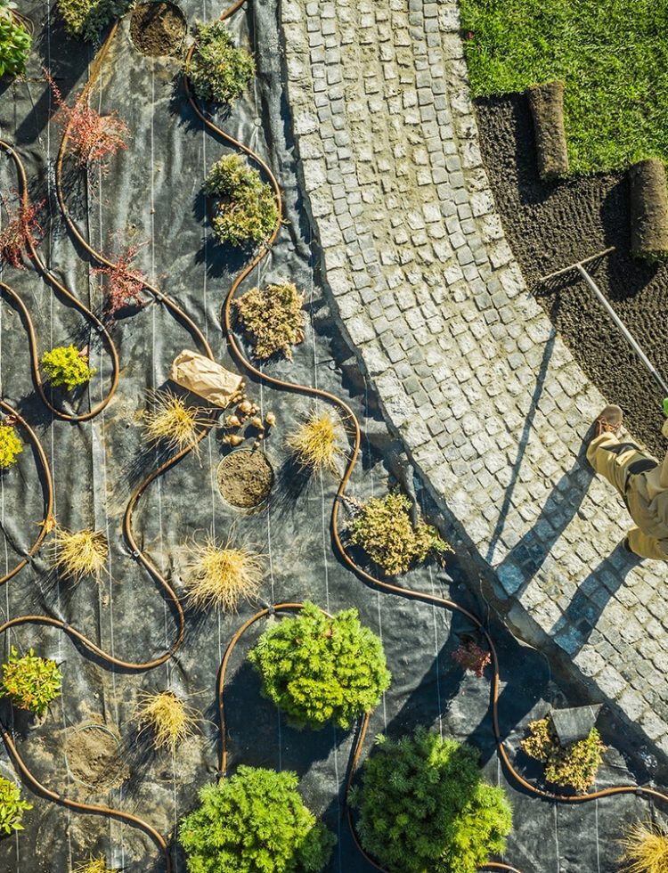 A person walking down the stairs in an area with plants.